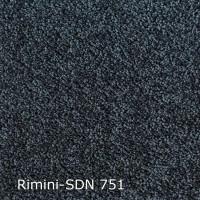Rimini-SDN 751